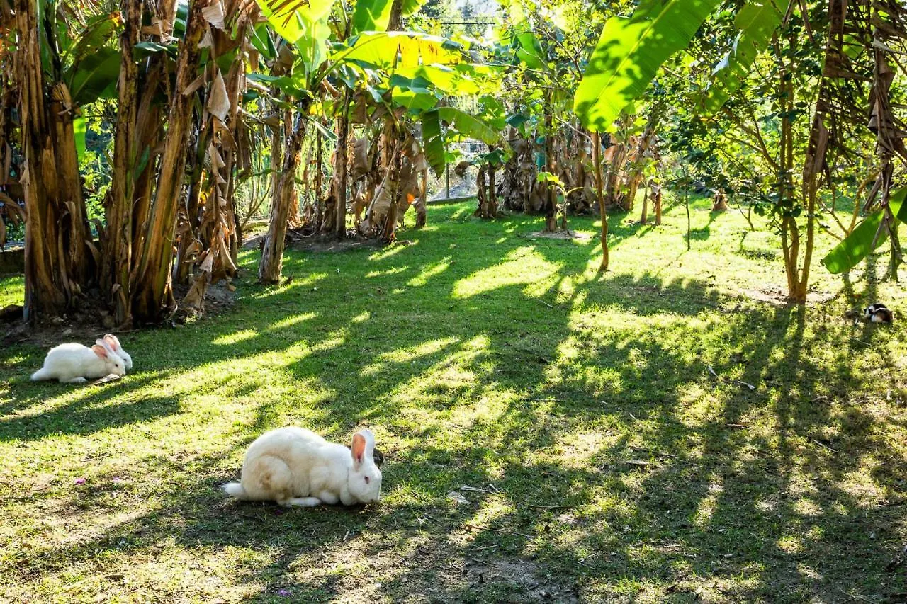 Apartment Pousada Jurere Rural Florianopolis Brazil